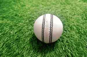 Bate de críquet Willow, color personalizado, marca personalizada, agarre de goma duradero y cómodo, mango corto, grueso, ligero y resistente. - Product Image 6