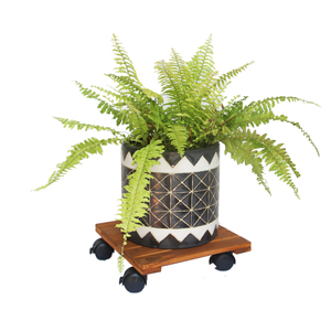 Carrito de Plantas Cuadrado de Madera de Acacia Ecológico de Alta Capacidad de Carga con Ruedas Bloqueables de 360 Grados para Macetas de Jardín - Product Image 2