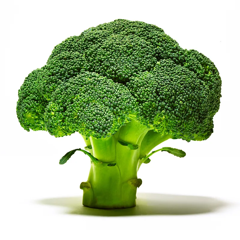 Fornitore di congelare conservare i broccoli in sacchetti congelatori con verdure di altissima qualità sfuse
