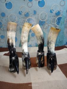 Cuerno que sopla de cuerno de buey Real pulido de la mejor calidad con funda de cuero con bolsa de regalo bebida nórdica de la India - Product Image 6