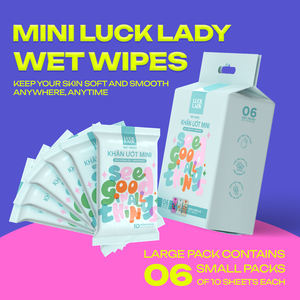 Toallitas Húmedas Sin Fragancia (Tui Ngoai) Paquete de 6 Mini Bolsas Uso Femenino 10 Piezas No Tejidas Antibacterianas Extra Suaves para el Cuidado de la Piel - Product Image 5