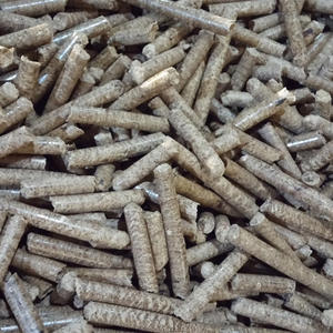 ชานอ้อยส่งออก - Product Image 4