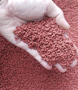 Achiote Rojo Natural Bixa Orellana Especia Seca Entera para Sazonar y Colorear Alimentos - Product Image 2