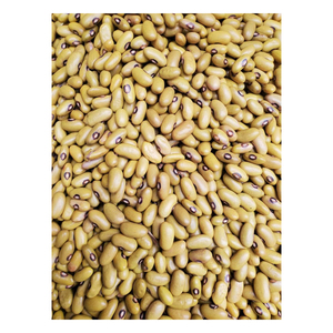 เมล็ดถั่วสีเหลืองสำหรับการซื้อจำนวนมากและขายปลีก - Product Image 5