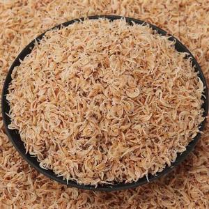 Langostinos Blancos de Calidad y Pescado Seco Procesado por Congelación (FD), Estilo Cocido, Directo de Fábrica, Empaquetado a Granel en Bolsa Incluida, Francia, 1 kg - Product Image 5