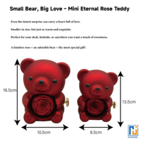 Mini Eternal Rose Teddy Bear Coffret Cadeau Mignonne Fleur Préservée Romantique pour Elle pour les Mariages Noël Mère Couple Durable