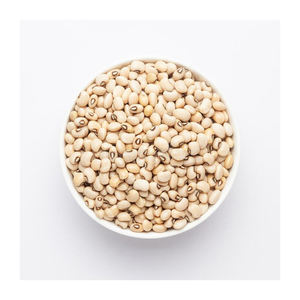 ถั่วฝักยาวตาดำ cowpea Vigna beans แบบออแกนิก - Product Image 2