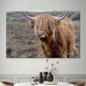 Tableau imprimé sur toile : Décoration murale Ferme de bovins des Highlands, TOILE ENVELOPPÉE - Product Image 1