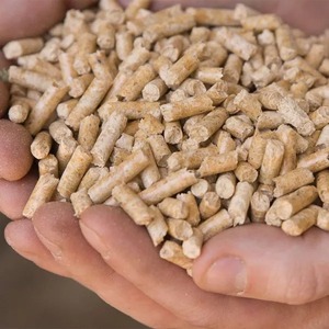 Pellets de madera, combustible de biomasa sostenible, alternativa a los combustibles fósiles - Product Image 3
