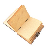 Journal à couverture rigide imprimé hibou, format compact avec fermeture métallique - 7 pouces X 5 pouces, 100 pages vierges