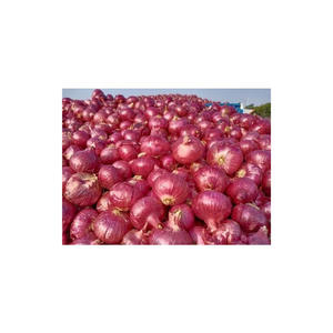 หัวหอมสีเหลืองและสีแดงที่มีคุณภาพสูงราคาที่ดีที่สุดสำหรับความต้องการของคุณ - Product Image 4