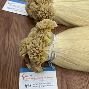 Lot de mèches de cheveux humains vierges vietnamiens Thanh S410 100 % naturels, pointe plate, blond Remy, tissage lisse, teint, 100 g - Product Image 1