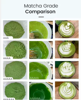 Poudre de Matcha Biologique, Poudre de Thé Vert Naturel, Ingrédient en Vrac Certifié Qualité Alimentaire pour les Marques de Boissons, Nutrition et Bien-être