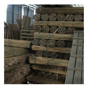 Estacas de cerca de bambú del proveedor de Vietnam Material impermeable duradero Corte personalizado Poste natural Disponible Suministro de exportación a granel - Product Image 4