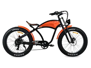 2025 Ice _ Bear eba218x500 500W 7-tốc độ dành cho người lớn sportbike 48v12ah Lithium-ion Battery Powered Xe đạp điện mua từ belmonte xe đạp - Product Image 5