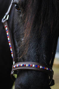 Licol équestre en cuir pliant Bling Holland Brown Cuir de cheval multifonctionnel Design intelligent - Product Image 5