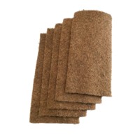 Almohadilla de cultivo de coco bio-coir para microverduras, esterilla de brotes de coco compostable