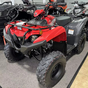 Vente rapide 2025 Grizzly 110 - Product Image 1