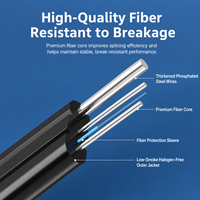 Cable de Fibra Óptica Tipo Arco de Grado Telecomunicaciones, de Uno o Dos Núcleos, para Interiores y Exteriores, Línea de Extensión FTTH para Banda Ancha Doméstica