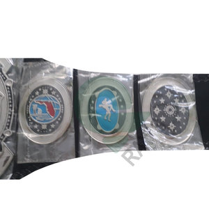 Cinturones de campeonato de lucha libre Trofeos Medallas y premios el símbolo definitivo de Victoria y excelencia Cinturones de Campeonato - Product Image 6