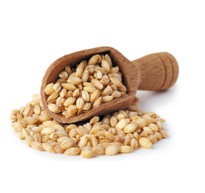 Granos de Malta de Cebada Orgánica Seca de Alta Calidad, Suministro al por Mayor para la Producción de Alimentos y Bebidas, Precio Económico al por Mayor, Excelente para Exportación - Product Image 5