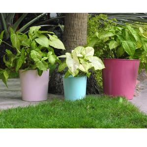 Lot de 2 jardinières en métal émaillé pour jardin, balcon, patio, jardinières décoratives - Product Image 2