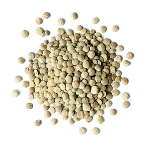 Best Quality Hot Sale Price Canadian Whole Green Lentils Dry Organic Green Lentils From Canadian Supplier