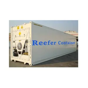 Refrigerated Container Used 40' RF Reefer Container Cargo