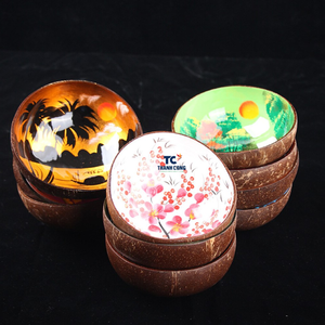 Cuenco de coco con patrón decorativo colorido más vendido, cuencos de laca de coco de colores personalizables pintados a mano - Product Image 6