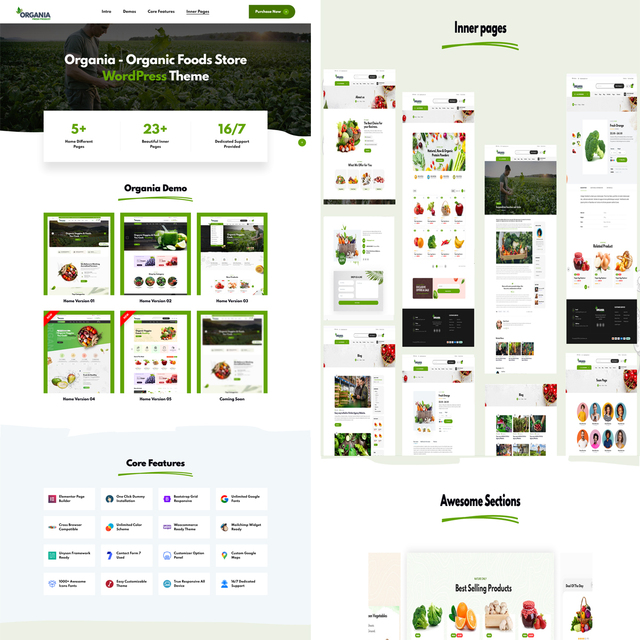 Start Your Own ECommerce Site Wordpress Shopify Create Your Online Store Today Online Store Website Design