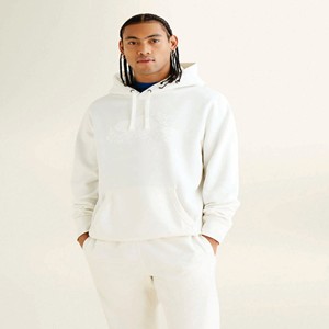 Sweat à capuche d'hiver 100% coton couleur personnalisée en gros 300gsm polaire unisexe pull sweats à capuche hommes garçons solide Streetwear - Product Image 1