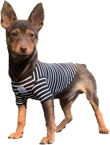 Ropa para Mascotas, Camisetas y Conjuntos de Moda para Perros, Ropa de Invierno, Estilos Personalizables para Todas las Tallas de Perros, Vietnam - Product Image 2