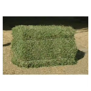 P04 Wholesale 750g per carton Good Quality Alfalfa Hay Pure Leaves Cheap Price <b>Dried</b> <b>Grass</b> - Product Image 2