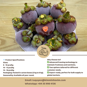 Mangostán congelado IQF Premium de fruta entera de Vietnam con envasado al vacío de sabor dulce suministro al por mayor a granel - Product Image 5