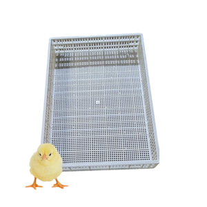 Piso de listón de plástico para aves de corral, buena calidad, seguro para equipos de aves de corral de pato, personalización del fabricante de Vietnam - Product Image 2
