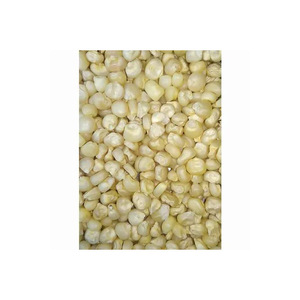 Maïs blanc en vrac, approvisionnement en stock frais et propre disponible pour l'exportation - Product Image 1