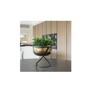 Trending Metal Iron Planter <b>Stand</b> Powder Coated Minimalist Golden Black Flower <b>Pots</b> Garden Decor Bulk Quantity Iqbal Collection - Product Image 3