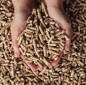 Vente chaude de granulés de bois 100% naturels du Vietnam, briquettes de bois, copeaux de bois et bois de chauffage à vendre - Product Image 5