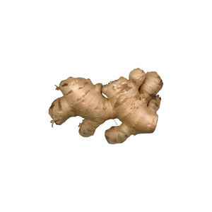 <b>Fresh</b> <b>Ginger</b> for Enhanced Nutrient Absorption in the Body - Product Image 5