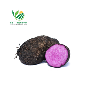 มันเทศแช่แข็งออร์แกนิกมันเทศสีม่วงธรรมชาติ100% หั่นบางๆสดได้รับการรับรองจากโรงเรือนเวียดนาม - Product Image 6