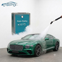 Équipement de lavage de voitures à vapeur industrielle, nettoyeur à vapeur électrique sec et humide en acier inoxydable 220v/380v avec garantie de 2 ans