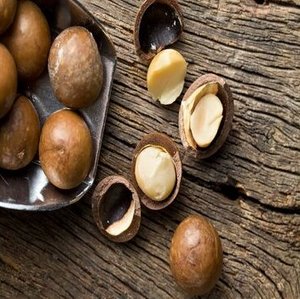 Nueces de Macadamia Tostadas Saludables de Primera Calidad a Precio Competitivo Estándar Internacional, Venta al Por Mayor - Product Image 2