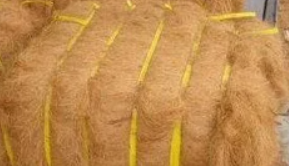 Hot Brand 2025 | Fibre de noix de coco écologique Meilleur prix du Vietnam - Product Image 6