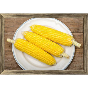 Vinagre de Maracuyá Orgánico de Alta Calidad, Grano Conservado en Vinagre para Alimentación de Aves de Corral y Exportación a Mercados Globales - Product Image 3