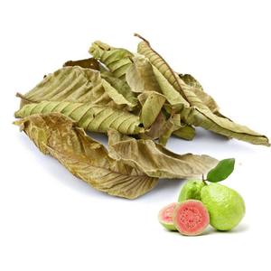 ใบฝรั่งแห้งสำหรับทำชาสมุนไพรเพื่อสุขภาพ - Product Image 1