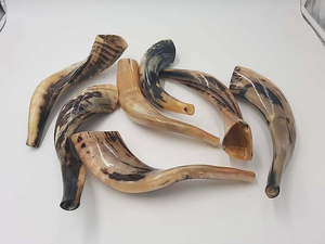 Instrumento musical RAM Shofar Angels/Sheep Kudu Ram Horn/Shofar Agate pulido con la mejor calidad de Craft Zone Export India - Product Image 4