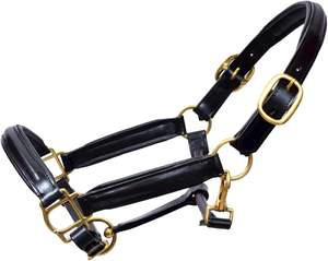 Halter de cuello de cabeza de caballo de color negro con accesorios de latón de cuero completamente elevados y acolchados Peines de curry - Product Image 1