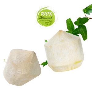 La polyvalence de la noix de coco pelée au diamant dans les aliments et les boissons - Product Image 2