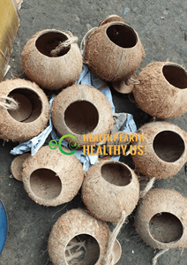 Handmade Eco Friendly Coconut Bird House/ Coconut House for Birds/ Coconut Shell Bird House From Eco2go Vietnam - Product Image 3