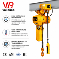 Palans à chaîne industriels HHBB avec résistance aux températures élevées IP54/55 et accessoires électriques personnalisables pour levage lourd